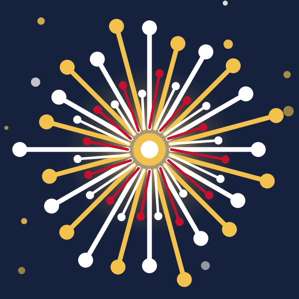 Firework (Night)