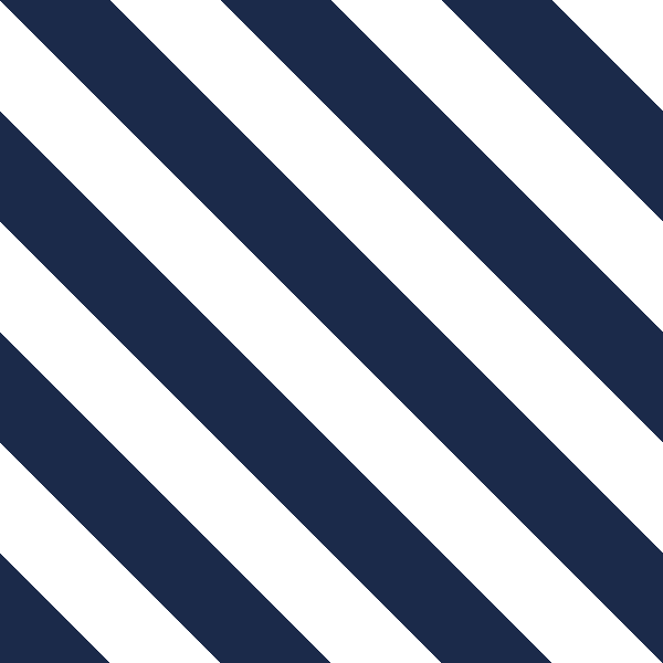 Navy/White ╲