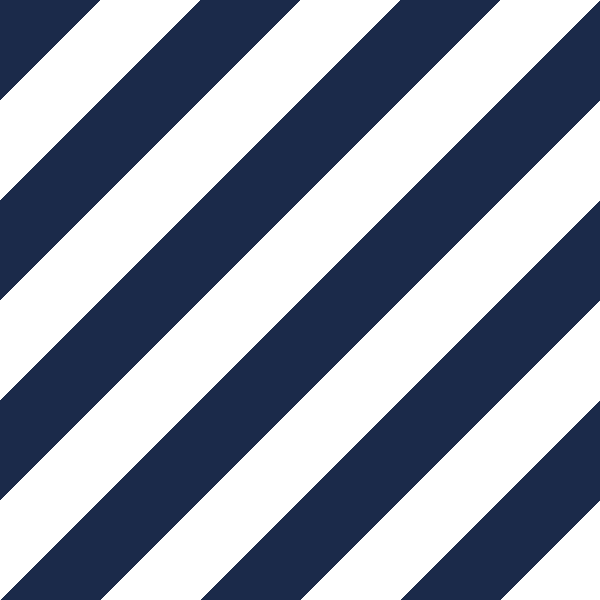 Navy/White ╱
