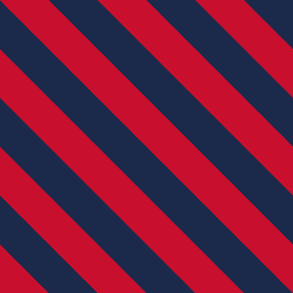 Red/Navy ╲