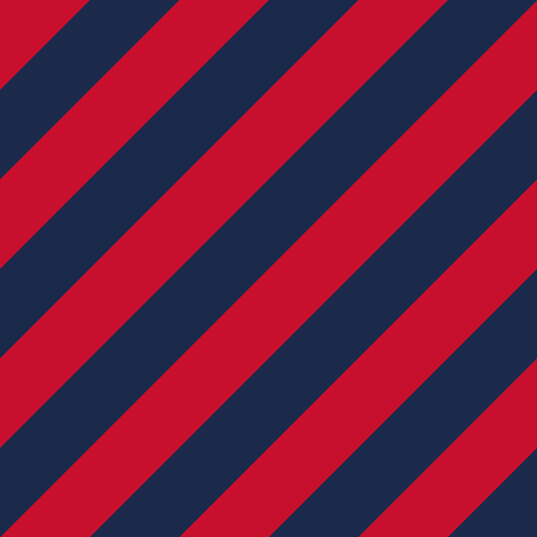 Red/Navy ╱